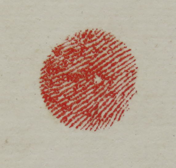 �o�����m�O�Y�|��